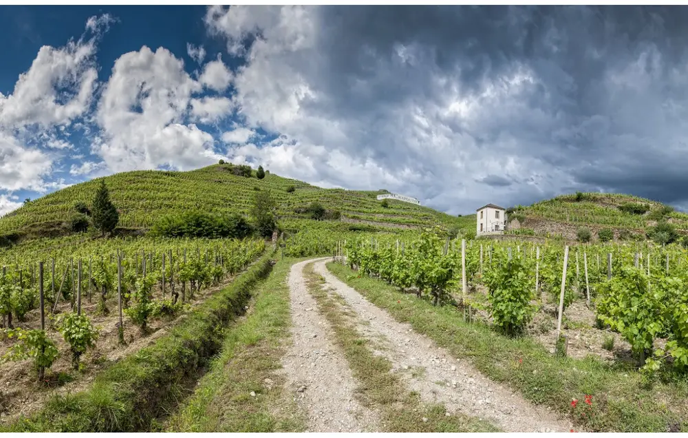 Vins du Rhône — Cave Fac & Spera By M.Chapoutier